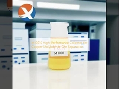 তামা-মলিবডেনাইট আকরিক পৃথকীকরণের জন্য M1001S উচ্চ-কার্যকারিতা সংগ্রহকারী